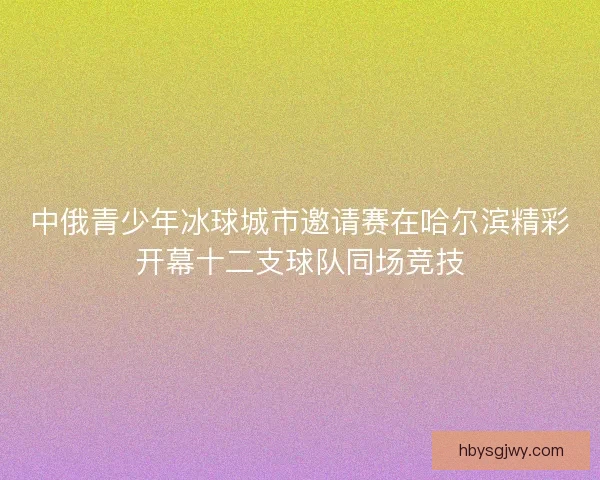 中俄青少年冰球城市邀请赛在哈尔滨精彩开幕十二支球队同场竞技